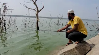 BIG Rohufish fishing in river|Fisher Man Catching in SINGLE hook|amazing fishing video in Rohufish