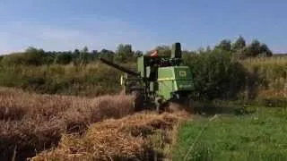 John Deere 935 Harvesting Triticale [HD]