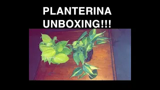 MAY 2020 PLANTERINA UNBOXING!