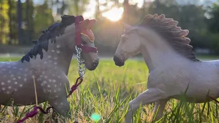 Counting Stars, Schleich Horse Music Video