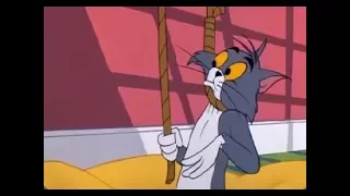 Tom And Jerry English Episodes - The Year Of The Mouse - Cartoons For Kids