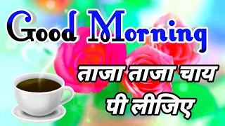 सुबह-सुबह ताजा चाय पी लीजिए 🌹 गुड मॉर्निंग शायरी 🌹Good morning video 🌹 Good morning shayari status