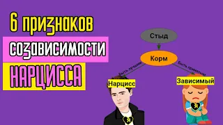 6 признаков созависимости у Нарцисса