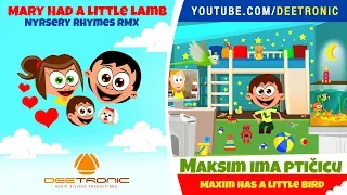 MAKSIM IMA PTICICU | Maxim Has a Little Bird | Nursery Rhyme Remix | Mary Had a Little Lamb RMX