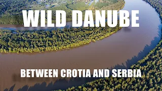 The Wild Danube in Croatia and Serbia