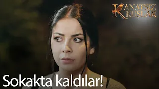 Zeynep ve Cemre sokakta kalıyor - Kanatsız Kuşlar 16. Bölüm