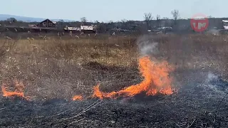 Особый противопожарный режим объявлен в Приморье