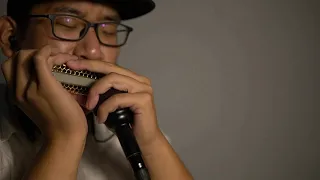 Chromatic Harmonica. Gypsy jazz Dark Eyes+Csardas【Willsmake customized harmonica AD-14】