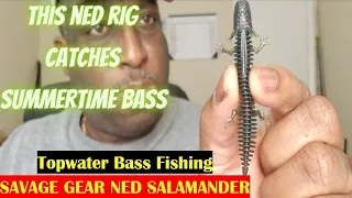 Ned Rig Fishing For Bass | Savage Gear Ned Salamander | #nedsalamander