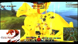 Gw2 Killing SA Hunt and more