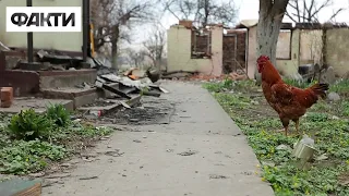 🔻 АНДРІЇВКА: зруйноване село відновлюється після окупації