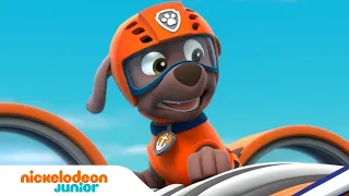 Paw Patrol : La Pat' Patrouille | Les sauvetages de dauphins et de baleines ! | Nick Jr.