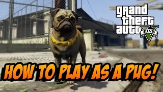 GTA 5: HOW TO PLAY AS A PUG!! (GTA 5 Gameplay)