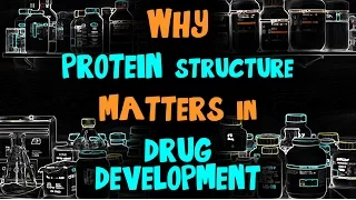 Why Protein Structure Matters in Drug Development: Lab Chat with Steven Almo, Ph.D.