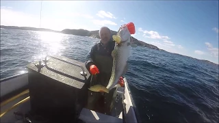 Setting Gill Nets At The Red Rocks & Jigging Cod On The Knob...