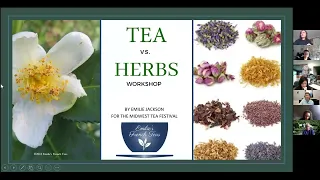 The History of Tea: Tea vs. Herbs