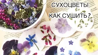 🌸КАК СУШИТЬ ЦВЕТЫ🌸 2 СПОСОБА СУШКИ ЦВЕТОВ: В КНИГЕ , В МАНКЕ🌸 PIECE OF SUMMER🌸