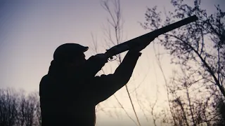 Classic Pheasant and Duckhunt In Denmark