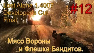 Lost Alpha 1.4007 DC - Final #12. Лес. Мясо Вороны для Серого. Тайник в Электре, и Флешка Бандитов.