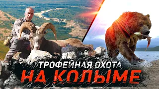 ТРОФЕЙНАЯ ОХОТА НА КОЛЫМЕ. КОЛЫМСКИЙ БАРАН И МЕДВЕДЬ