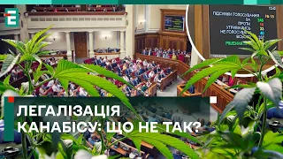 ⚡️ЛЕГАЛІЗАЦІЯ КАНАБІСУ! ЩО НЕ ТАК із законом?