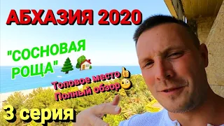 Абхазия 2020. Пицунда. Пансионат Сосновая роща. Лучшее место в Абхазии. Полный обзор. 3 серия.