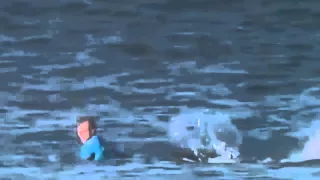 Акула напал на серфингиста!!! Выжил!!!