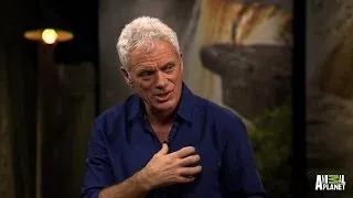 Jeremy Wade on Eating Fish, Tattoos and His 'White Whale' | River Monsters