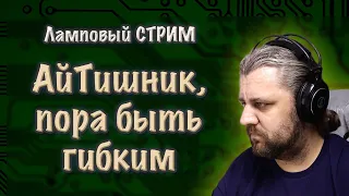 Гибкость для АйТишника. Миф или реальность. Ответы на вопросы. Ламповый АйТи СТРИМ