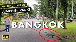 How to Experience Bangkok Like a Local! My 4K Lumphini Park Walking Tour | Thailand 🇹🇭