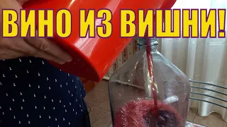 Homemade cherry wine. How to do it? The easiest way!