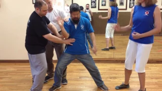 "The Positive Circle" Master Chen Zhonghua Chen Style Taijiquan Practical Method