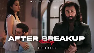 After Breakup Mashup | Amtee | Sari Duniya Jala Denge | Main Royaan | Bollywood Lofi