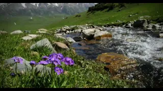 Білім талап ету| АбдусСалям абу Зайнаб