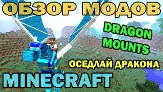 ч.65 - Оседлай дракона (Dragon Mounts) - Обзор мода для Minecraft