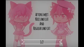 Aftons meet nice uwu cat and regular uwu cat (read description)