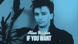 Alan Wilder (Depeche Mode) - If You Want - Lyrics