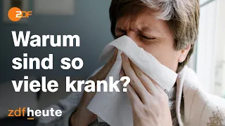 Hoher Krankenstand - "ein Virus mehr" sagt Virologin Protzer  | Morgenmagazin