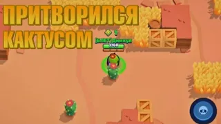 Притворился кактусом |Brawl stars|смешной Монтаж