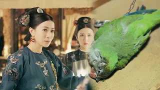 As soon as she woke up, Concubine Xian's bird was dead! Unexpectedly, Concubine Xian is gone too!
