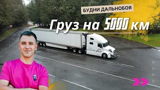 Везу рыбу через всю Америку 5000 км | Дальнобойщик в США | Alvil trucking