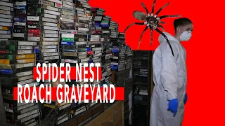 Spider Nest/Roach Graveyard | Lakeland, FL