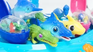 Dino Mecard New Dinosaur Capsule Suchus Double Figure Set Optalmo Deinosuchus Plesiosaurus | ToyMoon