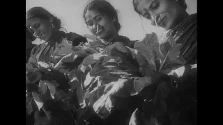 In Rural Maharashtra (1945)