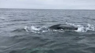 Морская Рыбалка Баренцево море база ТИТОВКА