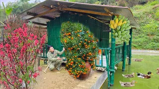 Plant kumquat trees, grow peach trees on the farm, harvest bananas, and take care of fruit trees