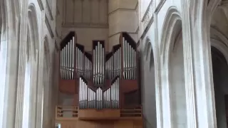 I played " a whiter shade of pale " on pipe organ...cover for Aurore and Audran's wedding