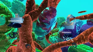 Multi-user VR opens new worlds for medical research