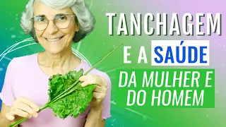 Tanchagem: antibiótico, anti-inflamatório, anti colesterol...