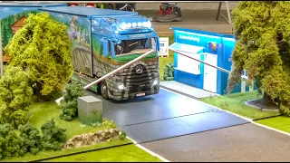 ULTIMATE RC TRUCK COLLECTION ON A STUNNING PLAYGROUND!